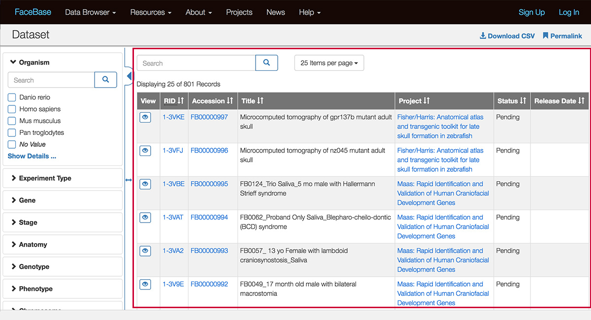 screenshot of FaceBase recordset view